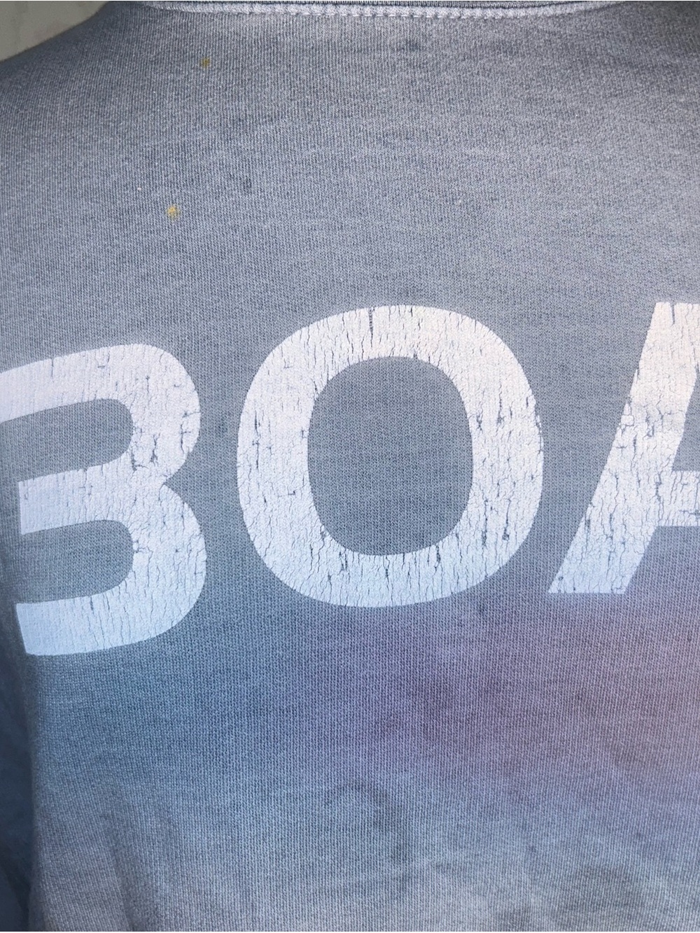 BOA Graphic Crewneck Sweatshirt in Faded Blue